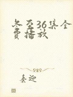 冬至36集全免费播放