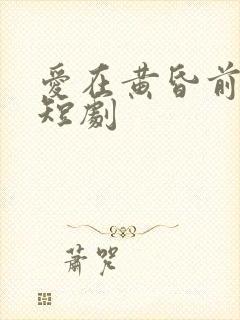 爱在黄昏前相遇短剧封面