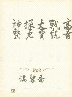 神探大战高清完整免费观看电影