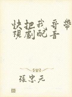 快把我哥带走电视剧配音