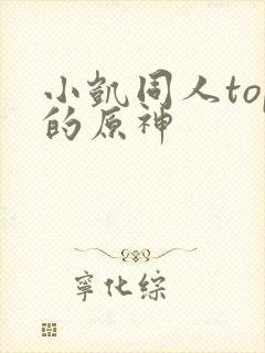 小凯同人top的原神