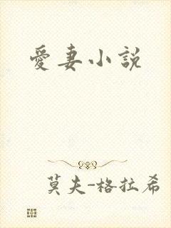 爱妻小说