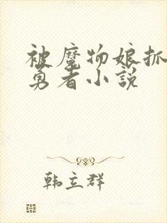 被魔物娘抓住的勇者小说