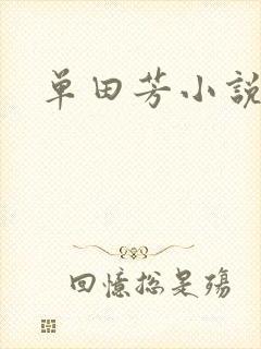 单田芳小说