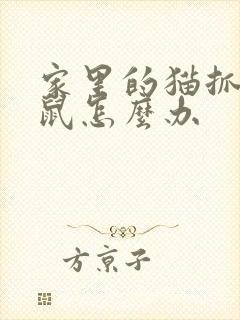 家里的猫抓了老鼠怎么办