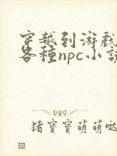 穿越到游戏里和各种npc小说