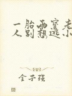 一胎两宝老婆大人别想逃小说封面