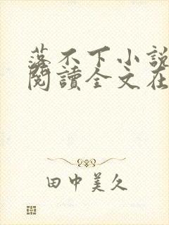 落不下小说免费阅读全文在线