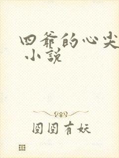 四爷的心尖宠妃 小说封面