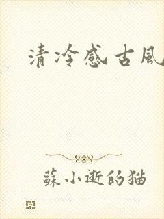 清冷感古风美人封面