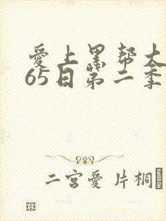 爱上黑帮大佬365日第二季封面