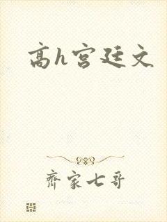高h宫廷文