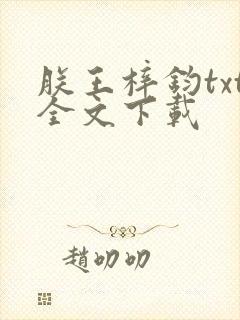 朕王梓钧txt全文下载