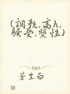(调教,高h,骚受,双性)