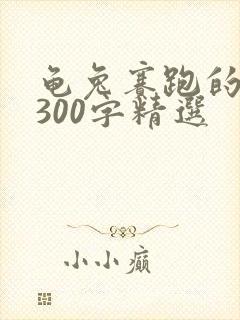 龟兔赛跑的故事300字精选