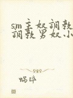 sm主奴调教:调教男奴小说