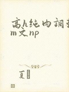 高h纯肉调教sm文np
