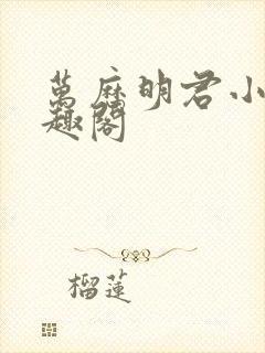 万历明君小说笔趣阁