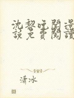 沈黎晚闻璟川小说免费阅读最新章节