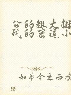 公的粗大挺进了我的密道小说