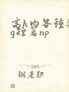 高h肉各种姿势g短篇np
