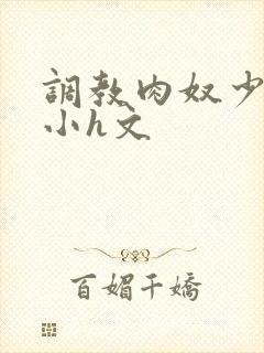 调教肉奴少司缘小h文封面