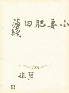 薄田肥妻小说在线