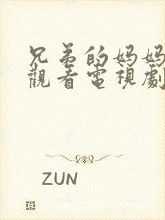 兄弟的妈妈免费观看电视剧全集