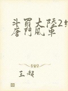 斗罗大陆2绝世唐门风车封面