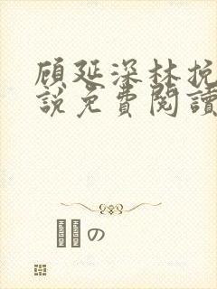 顾延深林挽音小说免费阅读最新章节