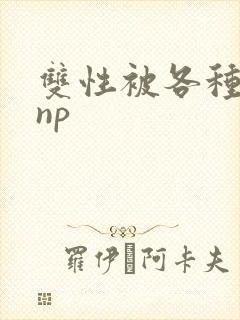 双性被各种淫玩np