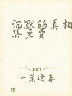 沉默的真相 全集免费封面