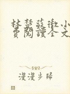 林楚苏彻小说免费阅读全文最新章节