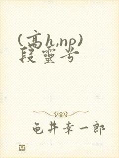 (高h,np)段灵兮