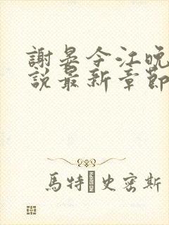 谢晏今江晚音小说最新章节更新