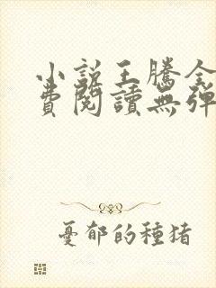 小说王腾全文免费阅读无弹窗