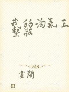 我的淘气王子完整版