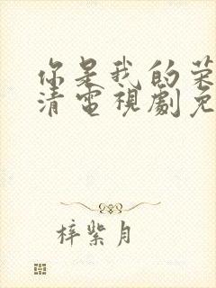 你是我的荣耀高清电视剧免费观看