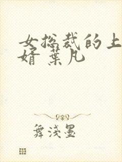 女总裁的上门女婿 叶凡