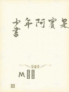 少年阿宾是什么书