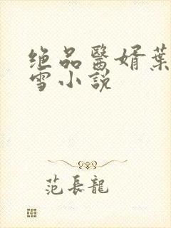 绝品医婿叶凡唐雪小说封面