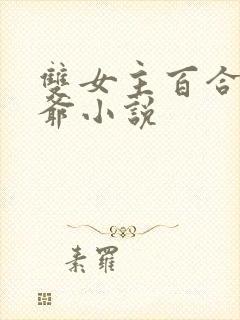 双女主百合傻姑爷小说