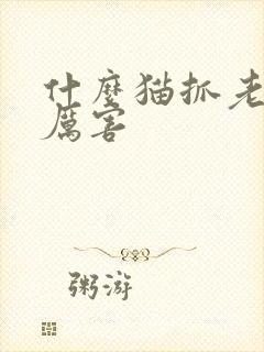 什么猫抓老鼠最厉害