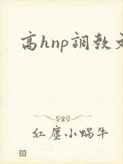 高hnp调教文