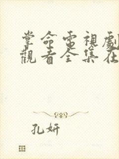 掌命电视剧免费观看全集在线播放封面