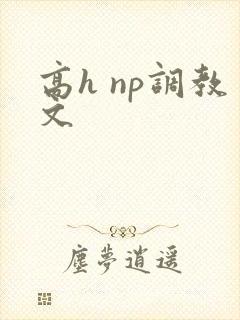 高h np调教文