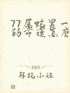 77属蛇男一生的命运怎么样封面