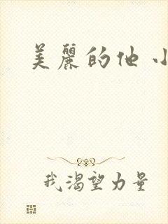 美丽的他 小说