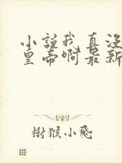 小说我真没想当皇帝啊最新章节