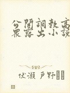 公开调教高潮当众露出小说